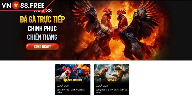 Khái quát sảnh Đá Gà Odin VN88
