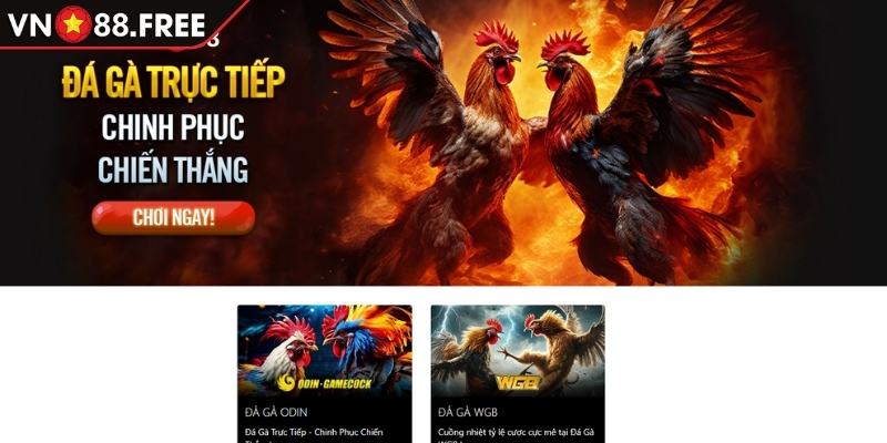 Khám phá sảnh Đá Gà WBG VN88
